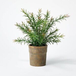 Threshold Studio McGee Small Pine Leaf Potted Arrangement -Target Christmas 2022
